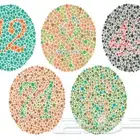 كتاب عمى الالوان مع طريقه حفظ الكتاب