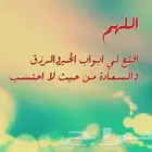 مصاعد ايطالى