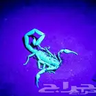 كشاف عقارب