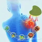 لصقة الظهر المفاصل القدمين والعضلات راحة عافية واسترخاء