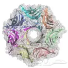 مركز تدريب ومعاهد