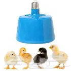 دقايات صوص