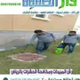 شركة مكافحة حشرات رش مبيدات مكافحه حشرات
