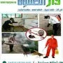 شركة مكافحة الحشرات: رش احترافي مع ضمان شامل