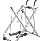 الغزال الطاير