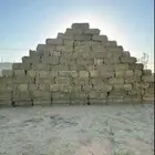 برسيم صافي ورق وعود ناعم