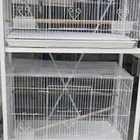 مستلزمات طيور