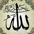 شريك سكن