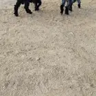 تيس وحفره