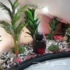 تنسيق حدائق جده تنسيق تحت الدرج
