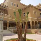 نخل وشنطني زينه