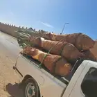 توجد لدينا جميع انواع النخيل الزينه والمثمر العربي جميع مقاس