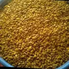 لوز يمني خولاني رقم واحد محصول 2024 عليه عرض سعر خاص