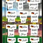استاذه لغه المانية من المانيا