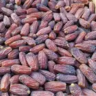 ثمار مزرعه تمر نخيل