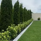 تنسيق حدائق حديثه
