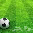عشب ملاعب كرة قدم مطابق لاتحاد الكورة العالمي والفيفا