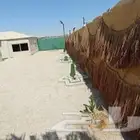 مخيم الاستراحة المودرن بالضاحية
