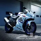 مطلوب دباب ريس