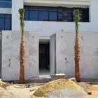 زراعت النخيل