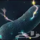 نشر الأبحاث العلمية في جميع التخصصات الطبية
