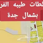 ارض للبيع بمخطط المجد بطيبه الفرعيه (نظيفه)