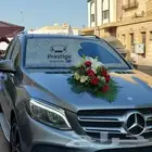تشريع سيارات عرسان