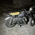 دباب جحش من ضمد