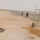 شبك شبوك مزارع وجميع الشبوك وتوريد نخيل