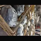 مكينه شد بلد اتش ون سوناتا ضمان فوق ست شهور