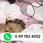 شركة كشف تسربات المياه بالقصيم