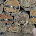 نحل للبيع في تية دارس