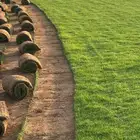 ثيل نجيل سي الفين درج اولي صافي . زراع وحدائق