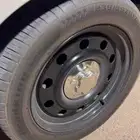 جنوط بوليسي شد بلد