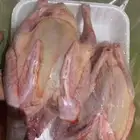 زغاليل حمام