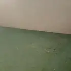 Apartment for rent in Qurtubah district