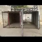 يوجد لدي شبك لدجاج