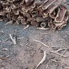 فحم مستورد سمر المدينه