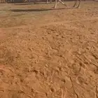 عشرا ضروبه غيثيه و منتج