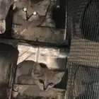 اتفه الخلاء