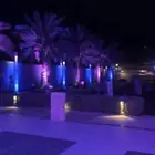 سيتي كلر اضاءه اليوم الرطني