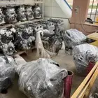 مكينه سوناتا كرنفال