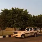 هالوكس