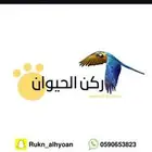 نشتري جميع انواع الطيور