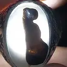 خاتم نادر جدا جدا عقيق يمني حر مصور فتاه مرأه حرمه بنت واضح