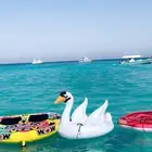 رحلات بحريه نزهه صيد سباحه بياضه