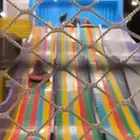 وين القا نفس هذي الزحليقه