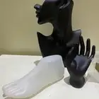 استاند