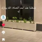 نوافير وشلالات وأحواض