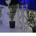 افتتاح و حفلات و بوابات وبلونات